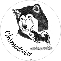 Chimotoivo Alaskan Malamute Kennel Chimotoivo Alaskan Malamute Kennel