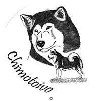 Chimotoivo Alaskan Malamute Kennel Chimotoivo Alaskan Malamute Kennel